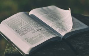 Como ser útil ao Senhor – Jornal Árvore da Vida