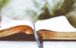 O Pentateuco dos pais – Jornal Árvore da Vida