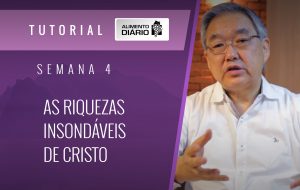 Alimento diário – A progressão da vida Divina – Mensagem 12 – Tutorial