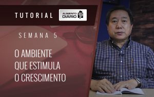 Alimento Diário Perdoai-vos uns aos outros – Mensagem 21 – Tutorial