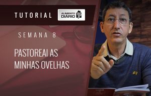 Alimento Diário Perdoai-vos uns aos outros – Mensagem 24 – Tutorial