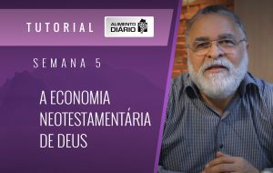 Alimento diário – A progressão da vida Divina – Mensagem 13 – Tutorial