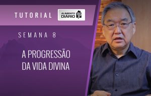 Alimento diário – A progressão da vida divina – Mensagem 16 – Tutorial
