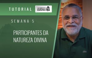 Alimento diário – Amor – Um caminho sobremodo excelente – Mensagem 21 – Tutorial