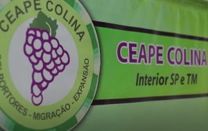 Conheça o Ceape em Colina – SP