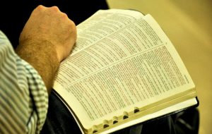 Fundamentos para os novos crentes – Jornal Árvore da Vida