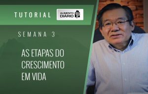 Alimento diário – Amor – Um caminho sobremodo excelente – Mensagem 19 – Tutorial