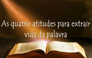 As quatro atitudes para extrair vida da palavra – Jornal Árvore da Vida