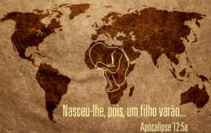 Projeto arca – África