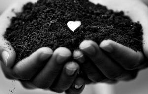 O amor singular de Deus pelo homem – Jornal Árvore da Vida