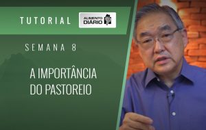 Alimento diário – Amor – Um caminho sobremodo excelente – Mensagem 24 – Tutorial