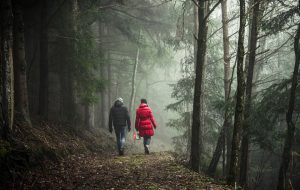 Quem comanda sua vida conjugal? – Jornal Árvore da Vida