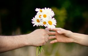 Princípios para uma vida conjugal vitoriosa – Jornal Árvore da Vida