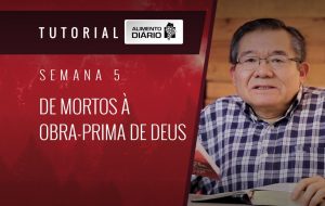 Alimento diário – GRAÇA E PAZ PARA A VIDA DA IGREJA – Mensagem 21 – Tutorial