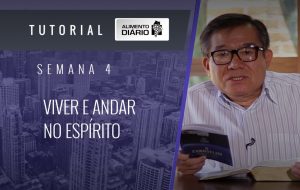 Alimento diário – O EVANGELHO – Mensagem 04 – Tutorial