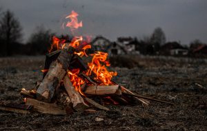O FOGO NECESSÁRIO PARA A PROPAGAÇÃO DA VIDA