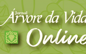 O JAV EM FORMATO DIGITAL!!!!