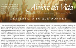 Divulgação da capa do JAV 316