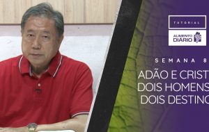 Alimento Diário – Muito mais – Tutorial Semana 08