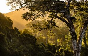 BUSCAR O MUNDO QUE HÁ DE VIR