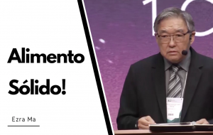 Alimento Sólido